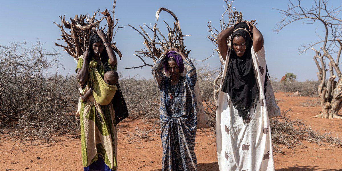 El cambio climático y el conflicto causan estragos en&nbsp;Somalia