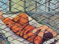 La ONU advierte de que se siguen negando los derechos humanos a los detenidos liberados de&nbsp;Guantánamo