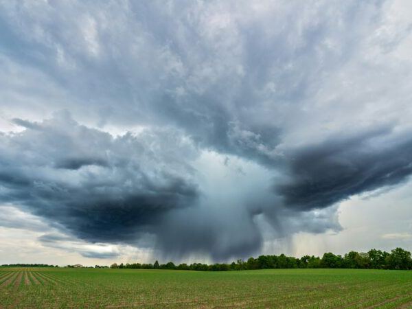 Alerta roja de la Organización Meteorológica&nbsp;Mundial