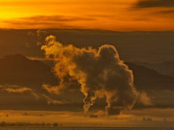 Calor letal en una jungla&nbsp;política