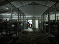 La república del&nbsp;miedo