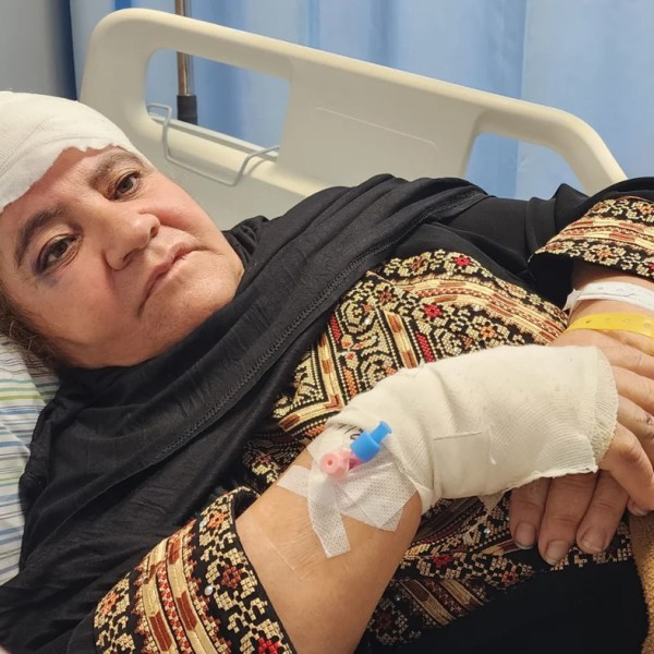 Olivares bajo asedio: Familias palestinas sufren la violencia israelí durante la&nbsp;cosecha