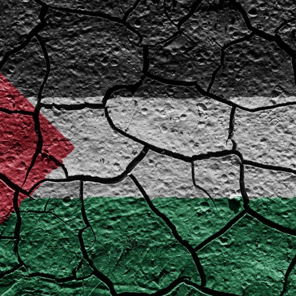 La emergencia medioambiental en Gaza: la amenaza bajo la&nbsp;tregua