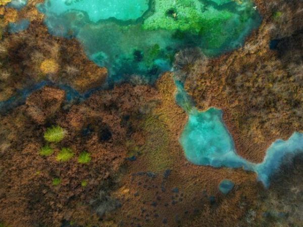 ¿Está colapsando la Gran Barrera de&nbsp;Coral?