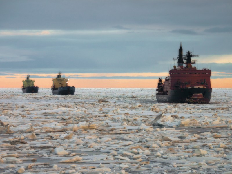 La fiebre del&nbsp;frío