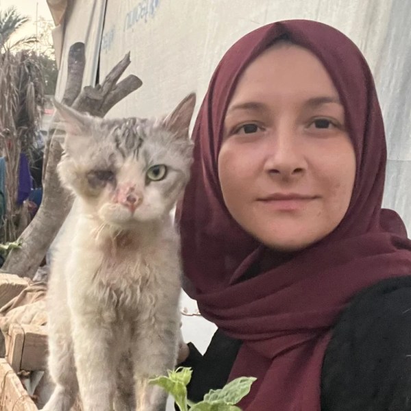 Genocidio en Gaza: Toda una vida comprimida en un solo&nbsp;año