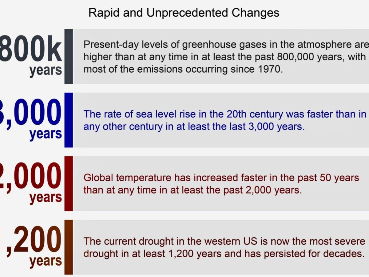 Consecuencias de los ataques de Trump al medio&nbsp;ambiente