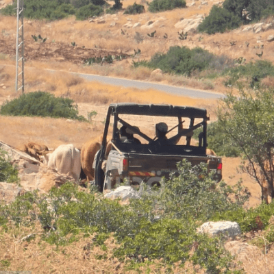 Demolición de viviendas: De cómo Israel redibuja el mapa de&nbsp;Cisjordania