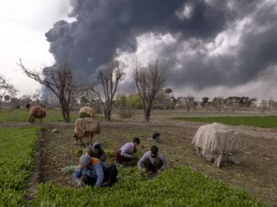 Los bombardeos estadounidenses e israelíes han dañado la fauna, la agricultura y el suministro de agua de&nbsp;Irán