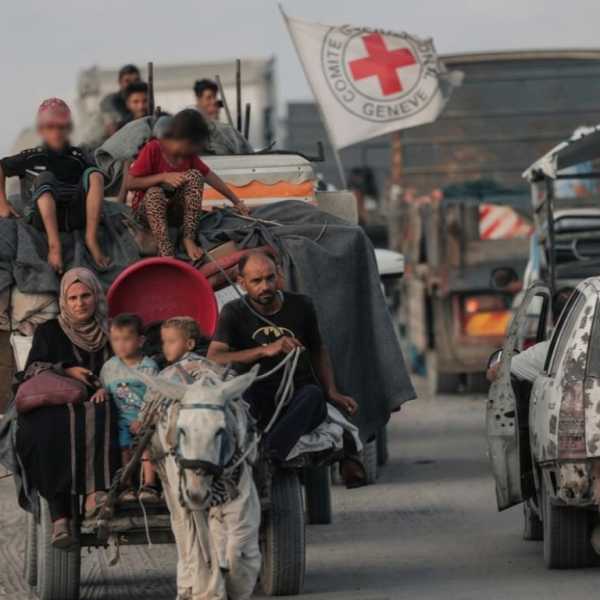 Bienestar animal y jerarquías de sufrimiento en&nbsp;Gaza